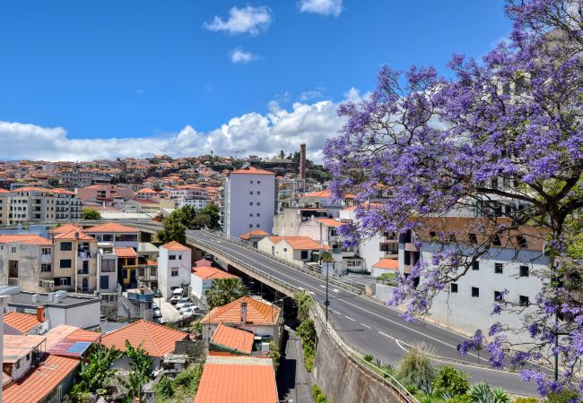 Apartamento en Funchal - Encarnacao Apartment, a Home in Madeira