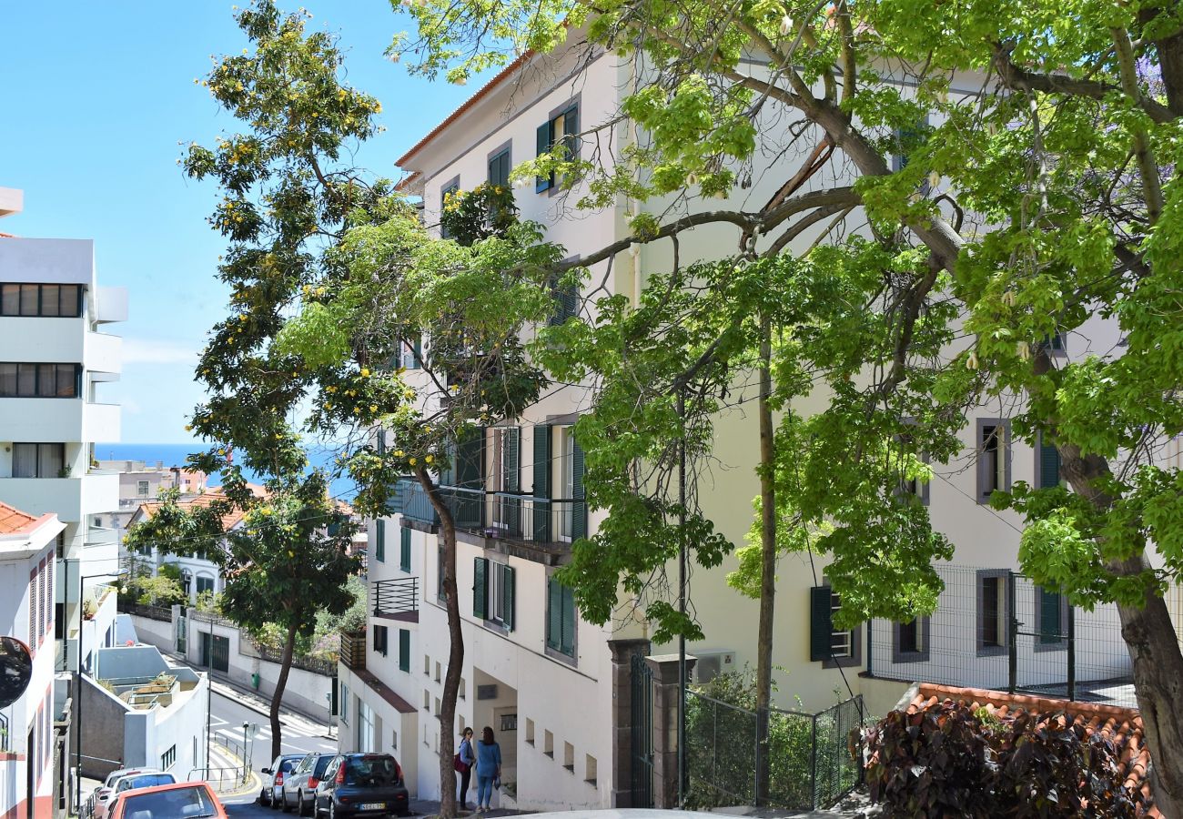 Apartamento en Funchal - Encarnacao Apartment, a Home in Madeira