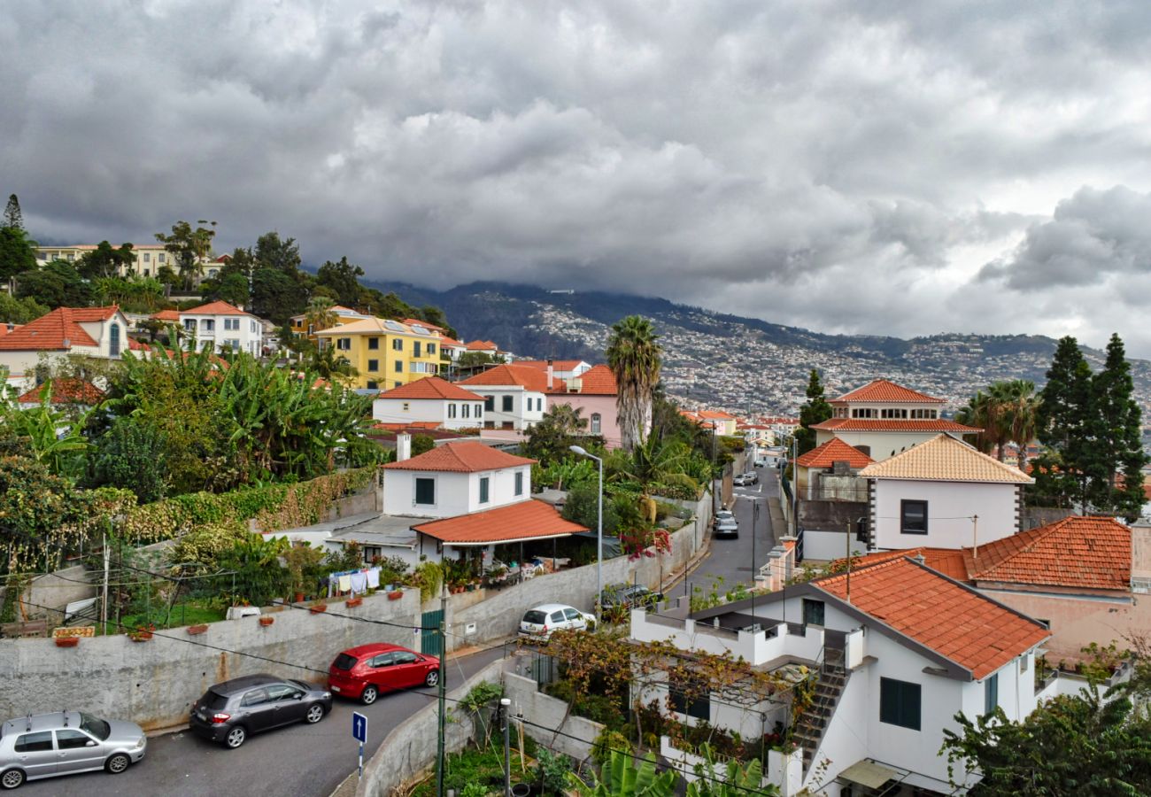 Apartamento en Funchal - Perola, a Home in Madeira