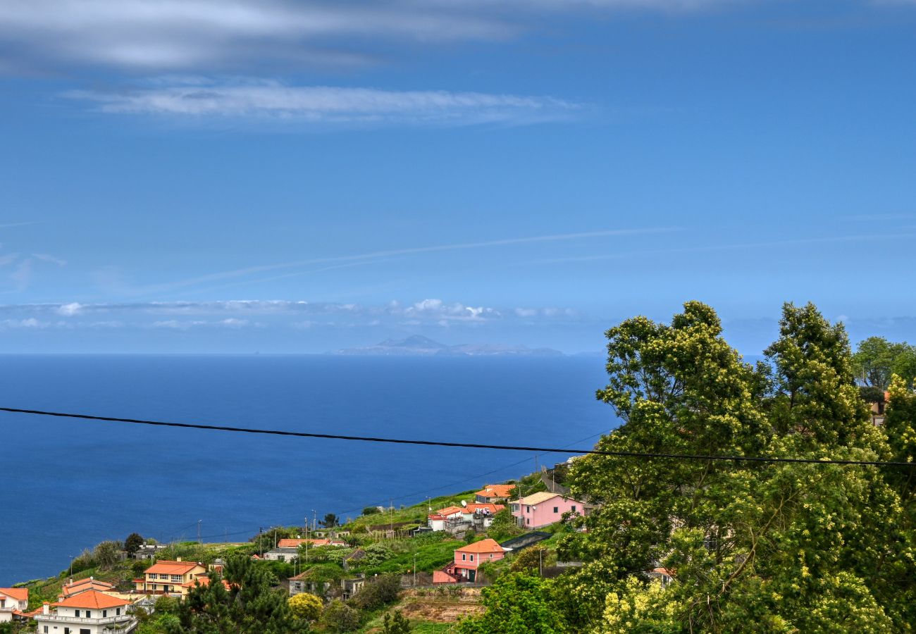 Casa rural en São Jorge - Os Ferreirinhos, a Home in Madeira