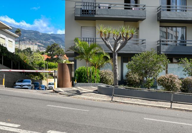 Apartamento en Funchal - Magnolia, a Home in Madeira