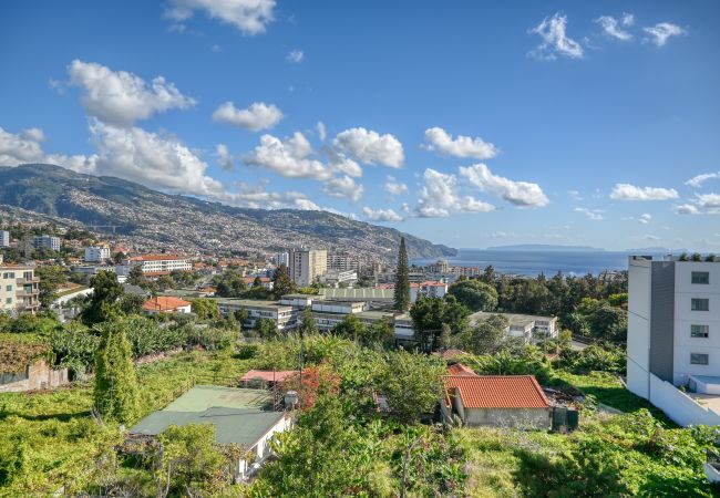 Apartamento en Funchal - Funchal Atrium, a Home in Madeira