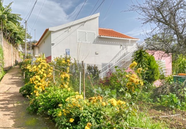Apartamento en Ponta do Sol - Cantinho da Mikaela, a Home in Madeira