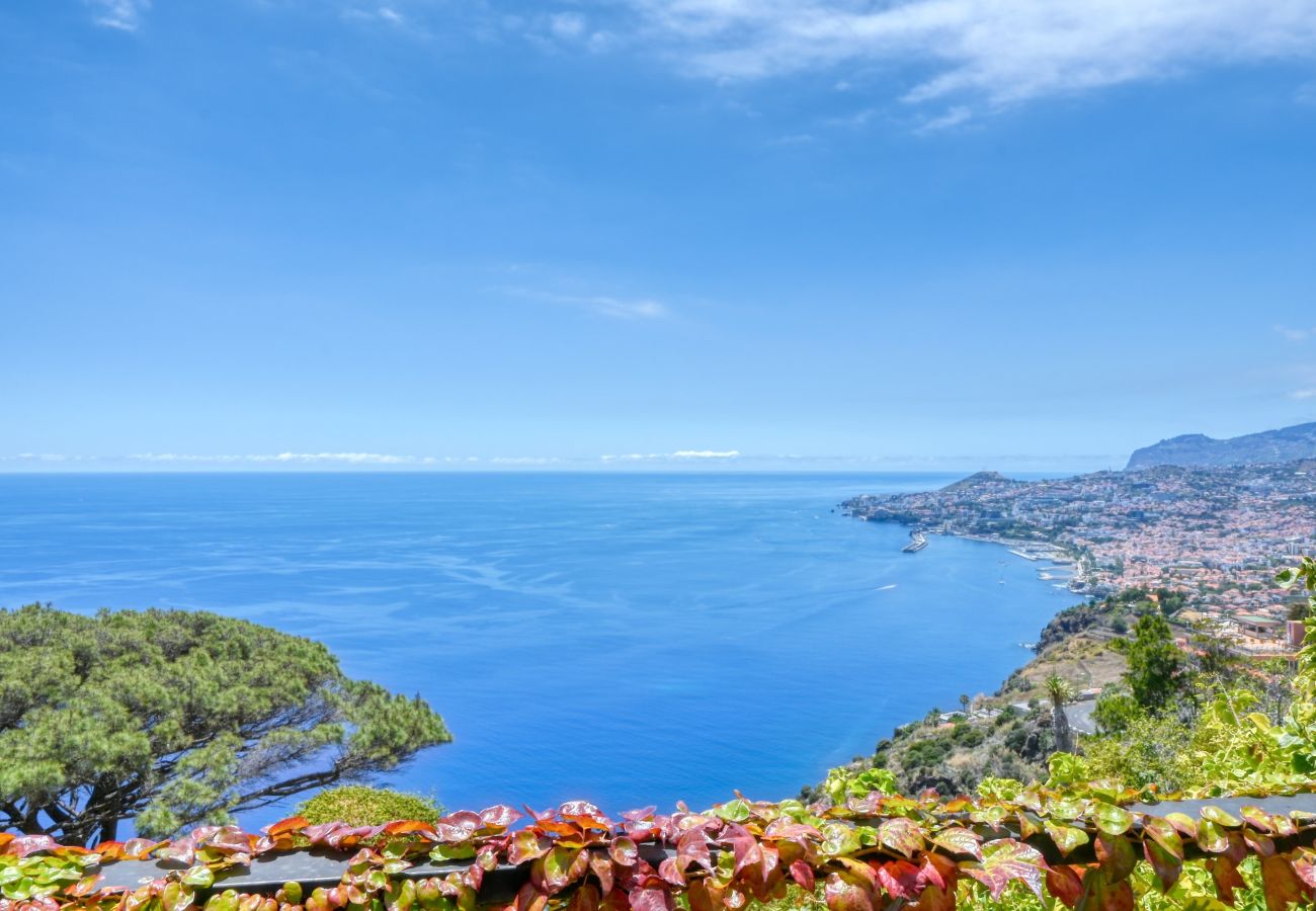 Villa en Funchal - Casa das Bromelias, a Home in Madeira