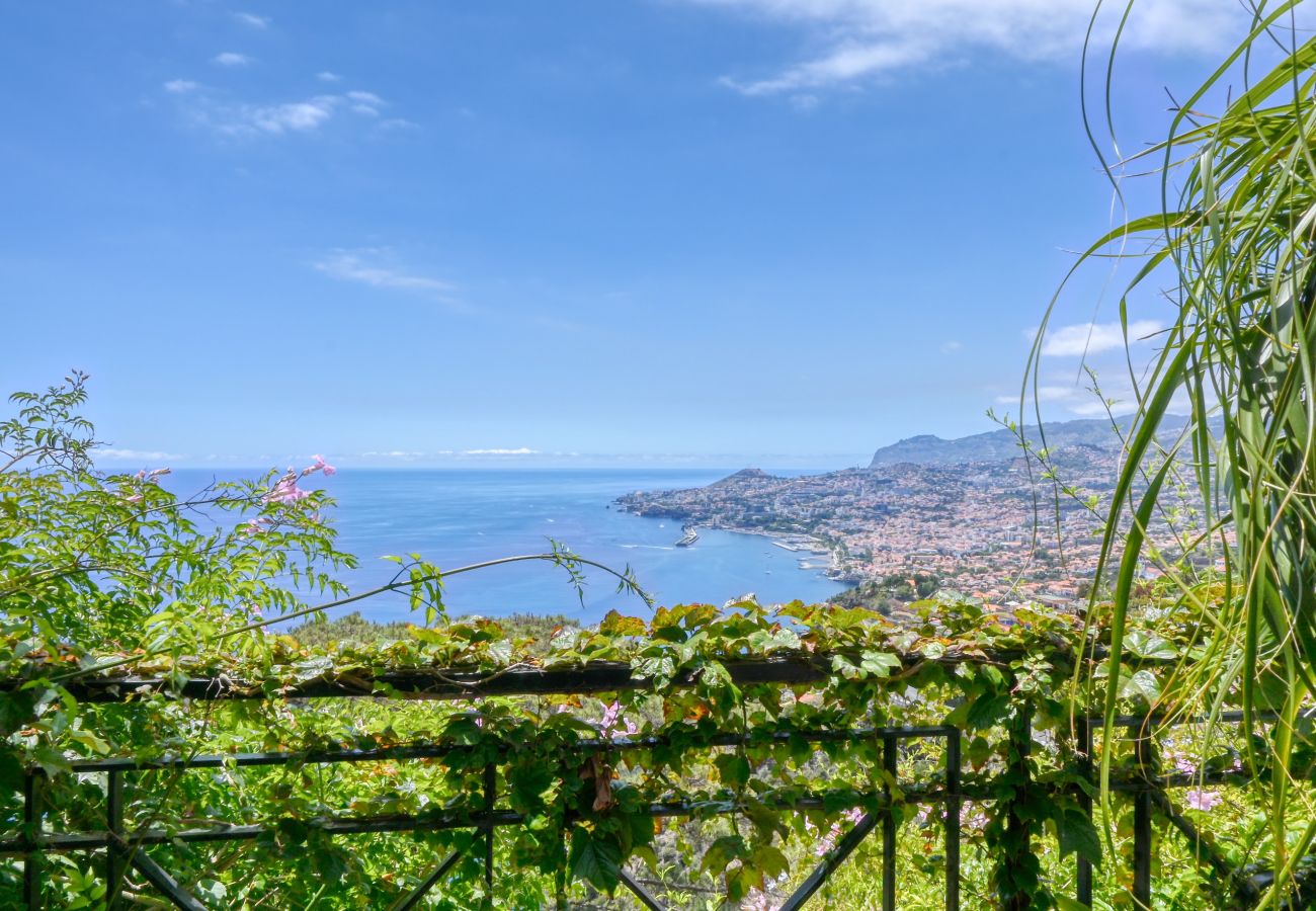 Villa en Funchal - Casa das Bromelias, a Home in Madeira