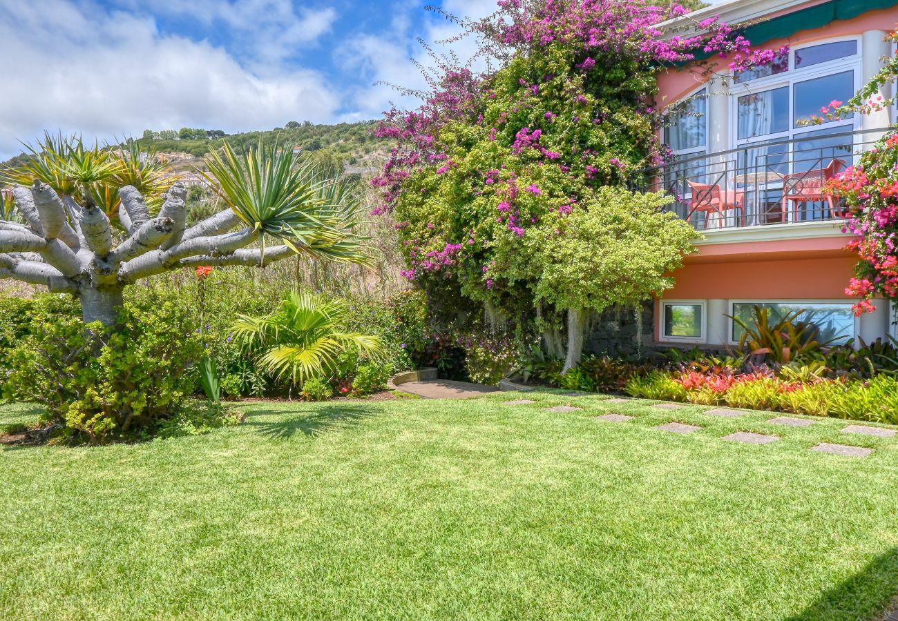 Villa en Funchal - Casa das Bromelias, a Home in Madeira