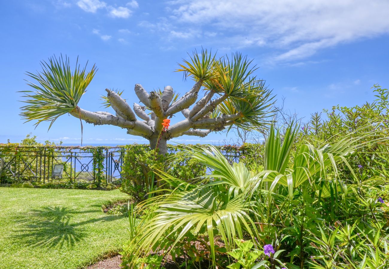 Villa en Funchal - Casa das Bromelias, a Home in Madeira