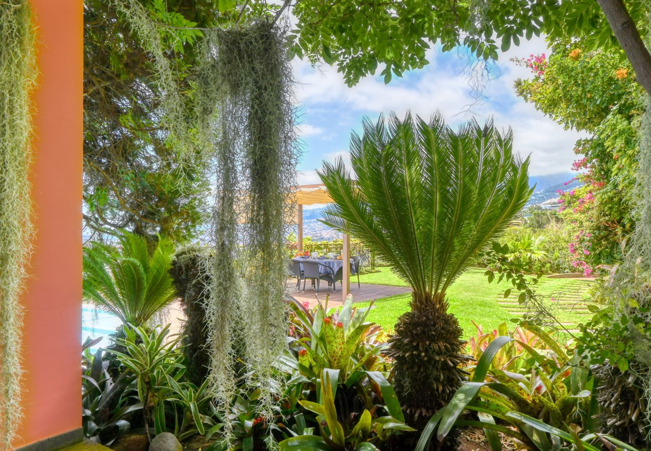 Villa en Funchal - Casa das Bromelias, a Home in Madeira