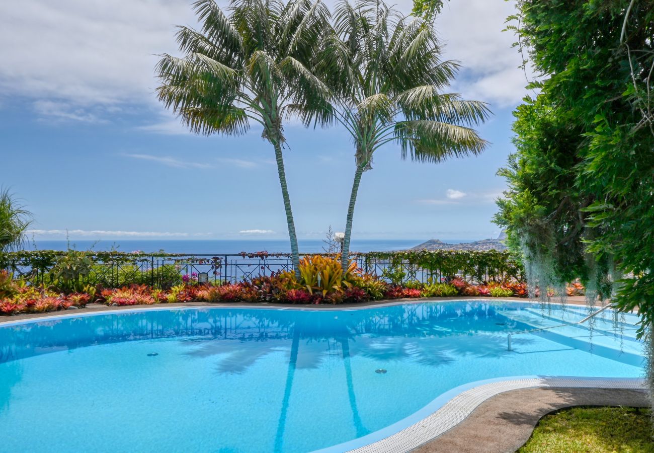 Villa en Funchal - Casa das Bromelias, a Home in Madeira