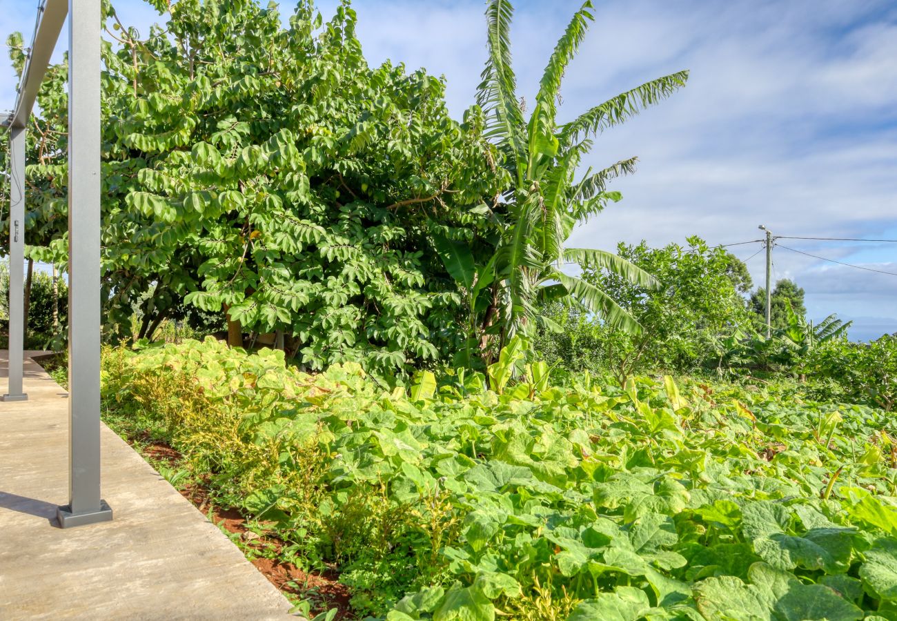 Estudio en São Jorge - O Miminho, a Home in Madeira
