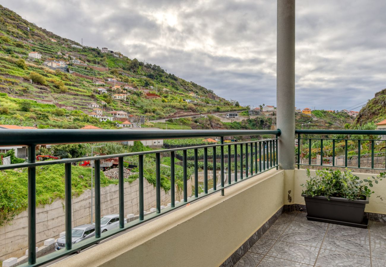 Apartamento en Tabua - Valley Nest, a Home in Madeira