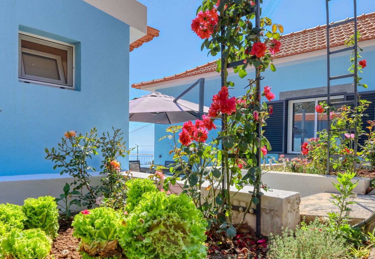 Casa en Ponta do Sol - Silva's House, a Home in Madeira