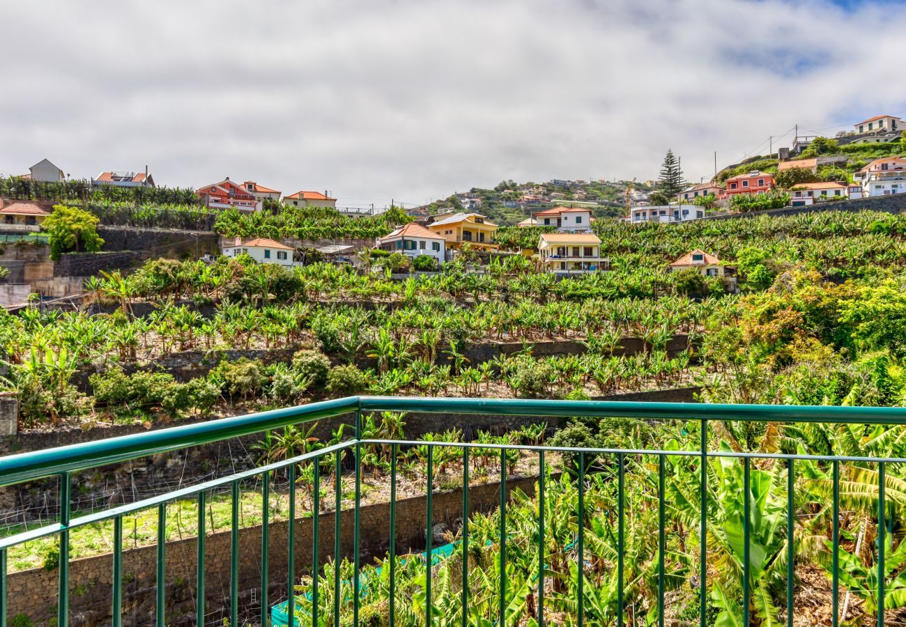 Appartement à Ponta do Sol - Freitas Panoramic, a Home in Madeira
