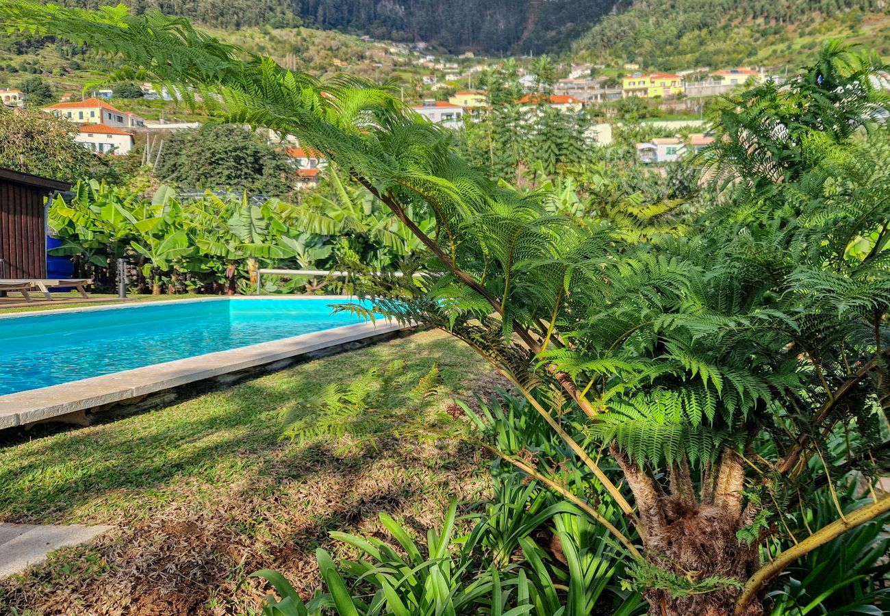 Villa em Arco da Calheta - Villa Santa Madalena, a Home in Madeira