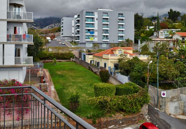 Apartamento em Funchal - Perola, a Home in Madeira
