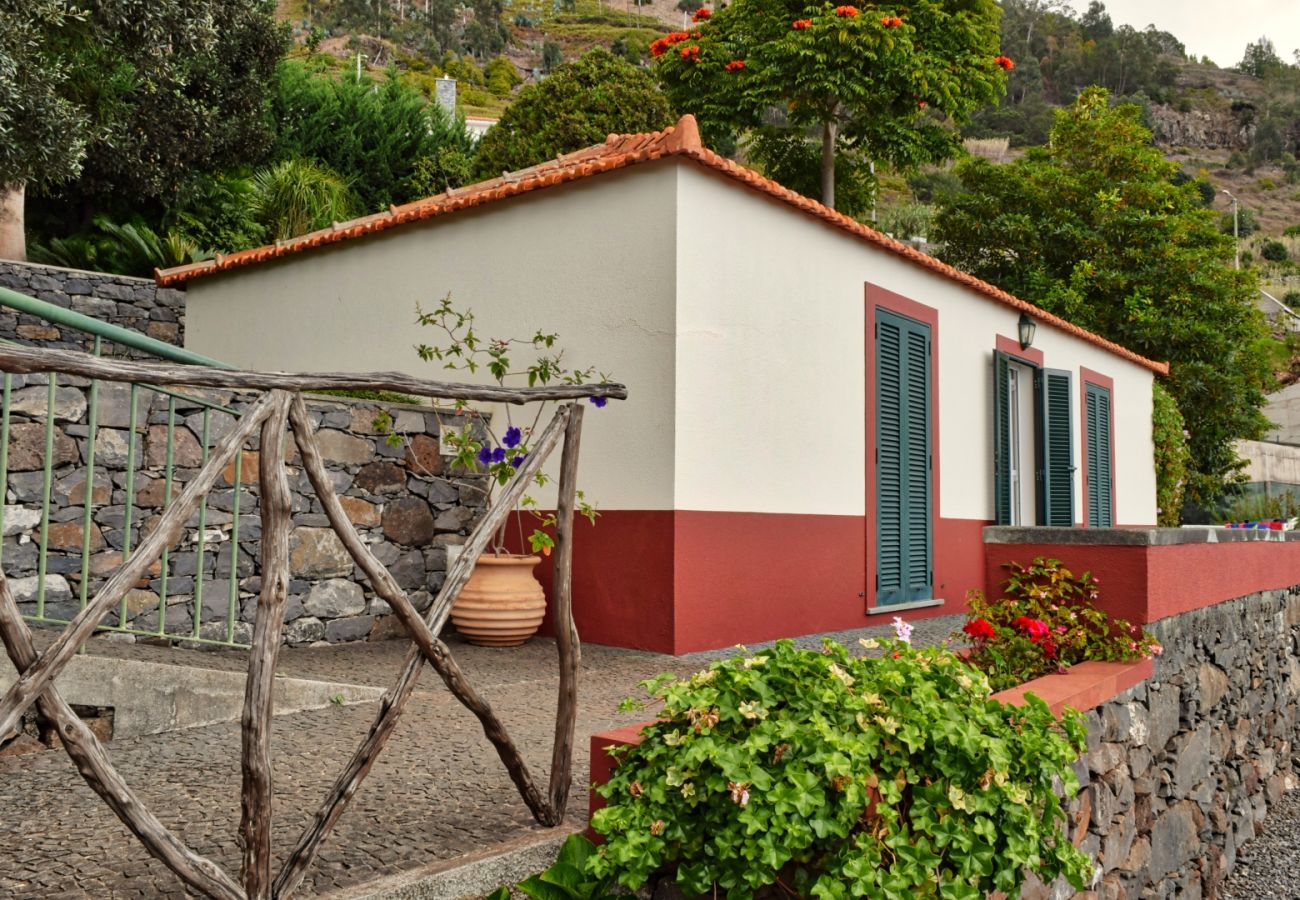 Estúdio em Arco da Calheta - Cicas Studio, a Home in Madeira
