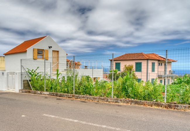 Casa rural em São Jorge - O Lagar do Avo, a Home in Madeira