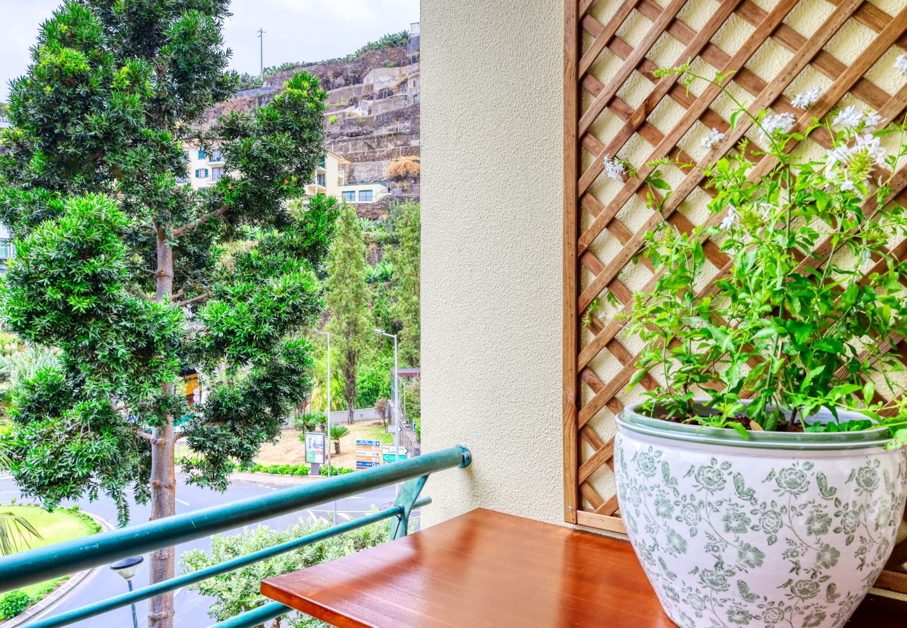Apartamento em Ponta do Sol - Alziras Place, a Home in Madeira