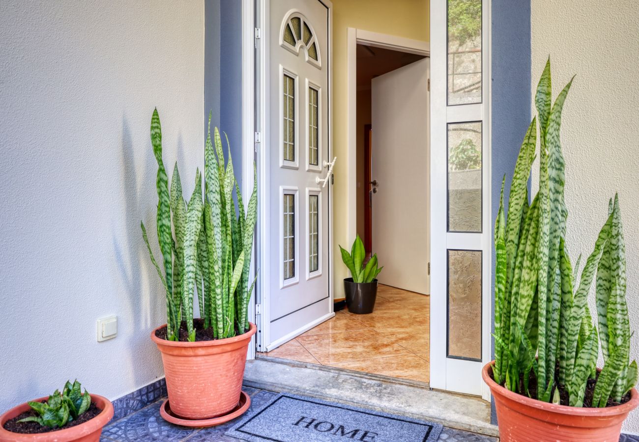 Apartamento em Tabua - Valley Nest, a Home in Madeira