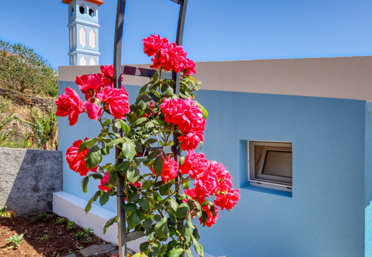 Casa em Ponta do Sol - Silva's House, a Home in Madeira