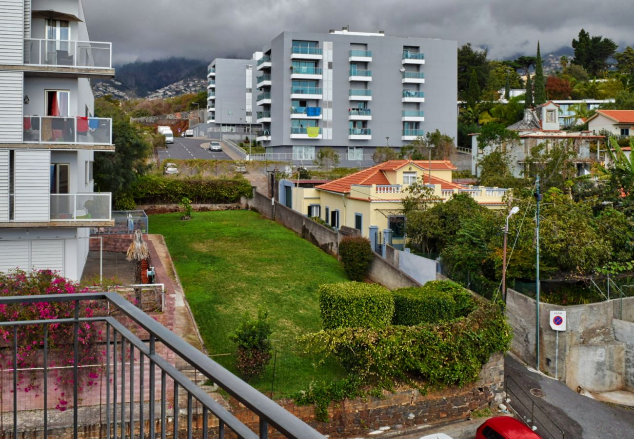Apartment in Funchal - Perola, a Home in Madeira