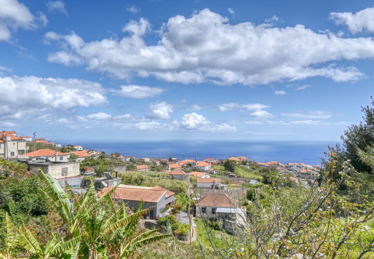 House in Ponta do Sol - Valley Canhas, a Home in Madeira