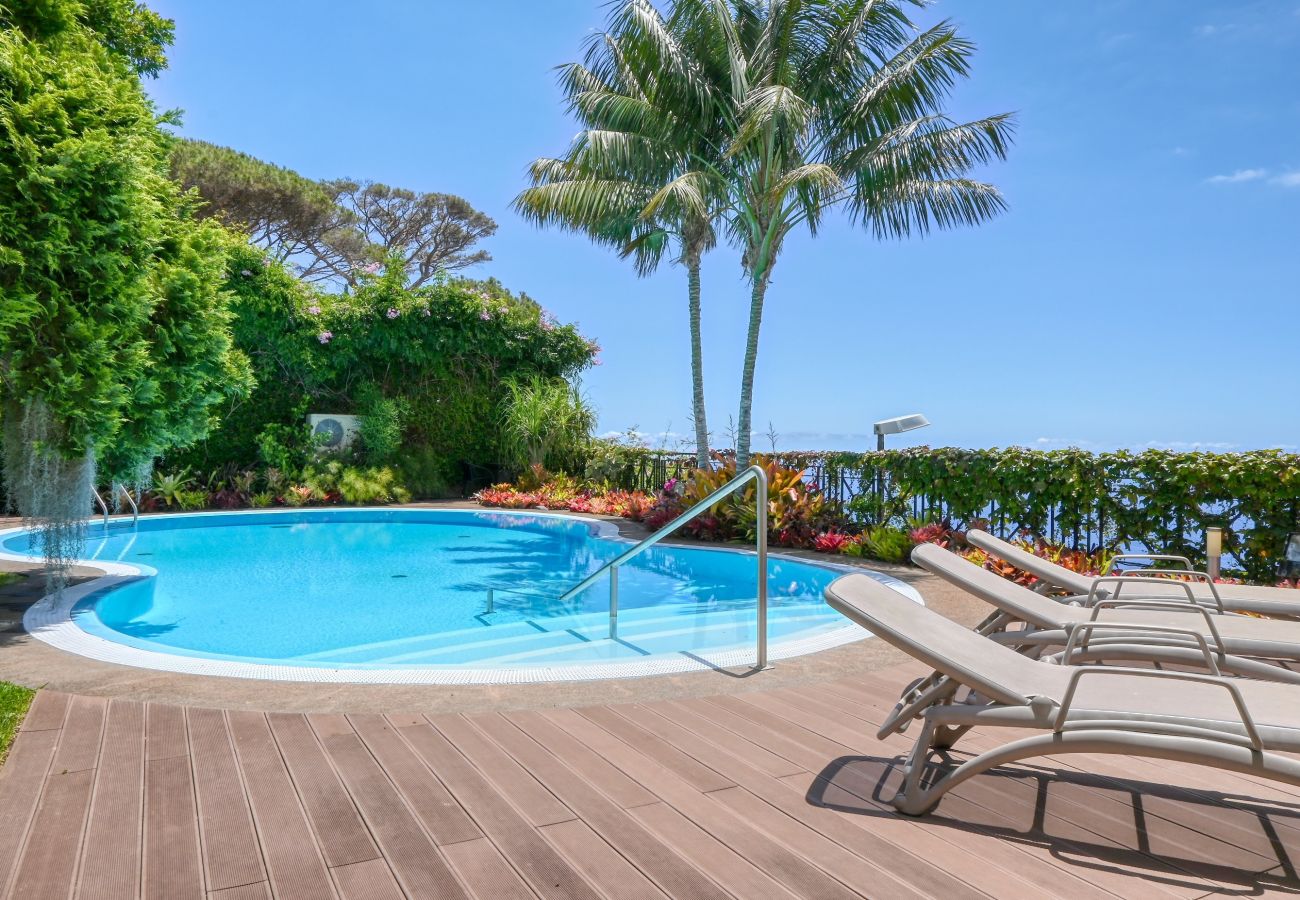 Villa in Funchal - Casa das Bromelias, a Home in Madeira