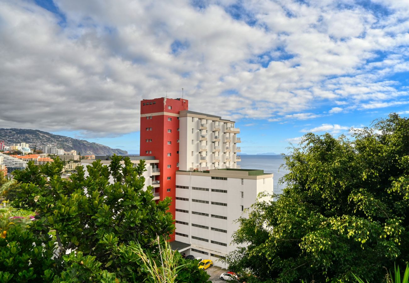 Apartment in Funchal - Aida's Place, a Home in Madeira