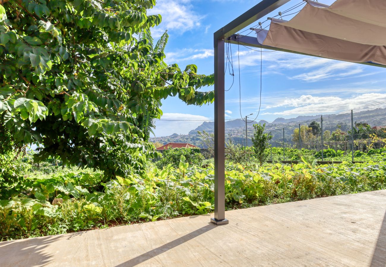 Studio in São Jorge - O Miminho, a Home in Madeira