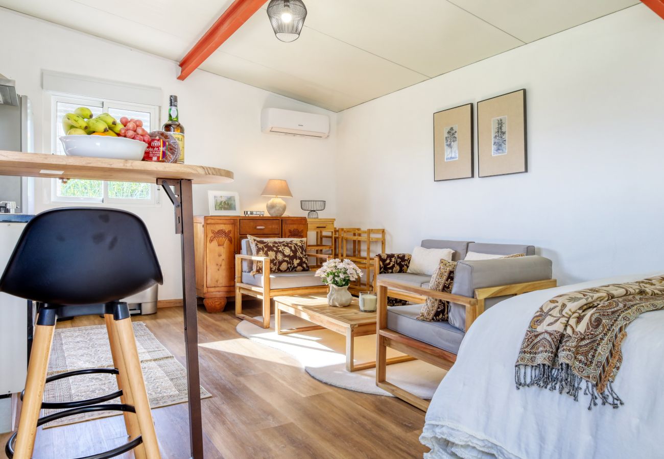 Studio in São Jorge - O Miminho, a Home in Madeira