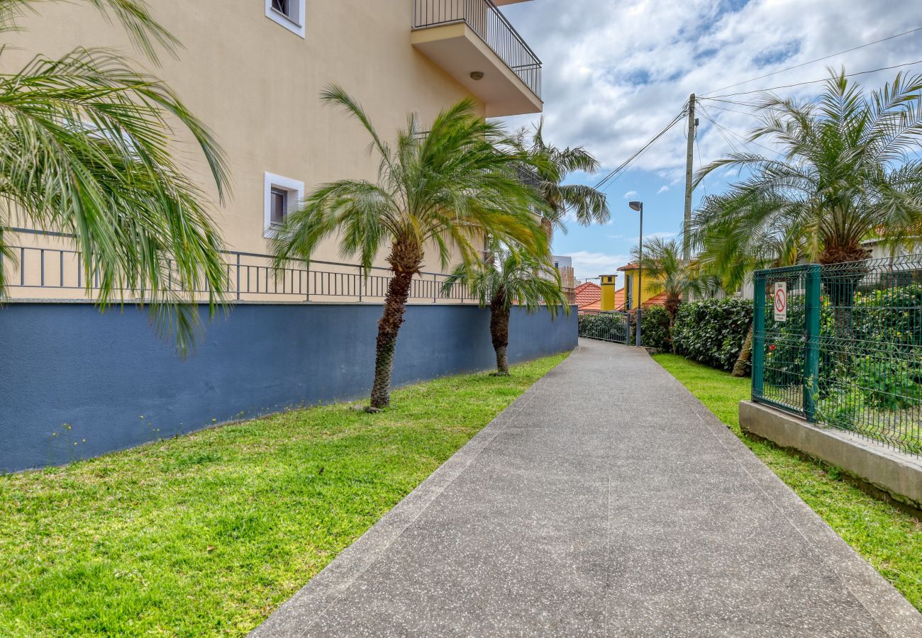 Apartment in Funchal - Graça's Place, a Home in Madeira
