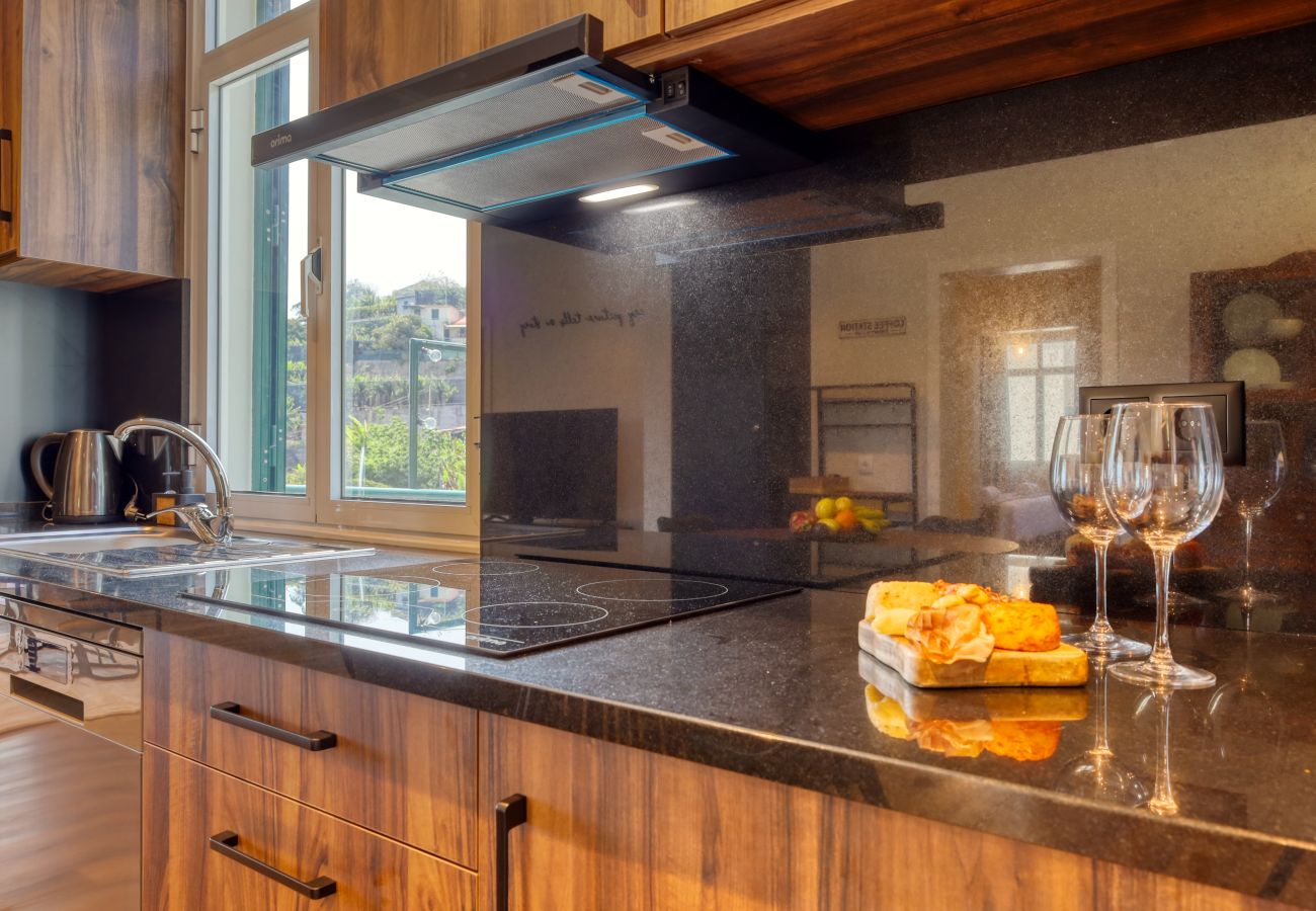 Apartment in Ponta do Sol - Freitas Panoramic, a Home in Madeira