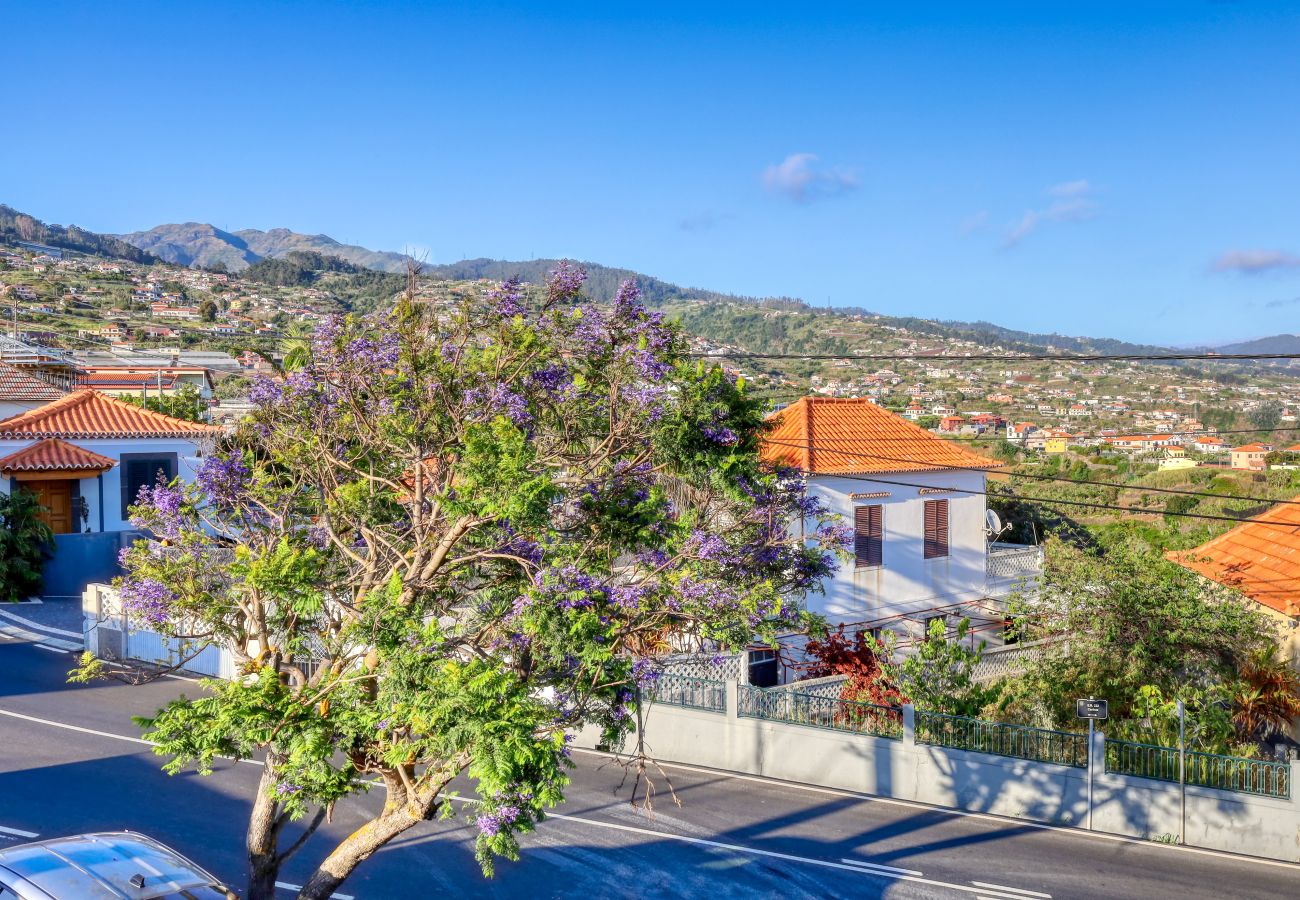 Apartment in Ponta do Sol - Casa São Tiago, a Home in Madeira