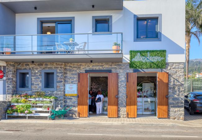 Apartment in Ponta do Sol - Casa do Serrado, a Home in Madeira