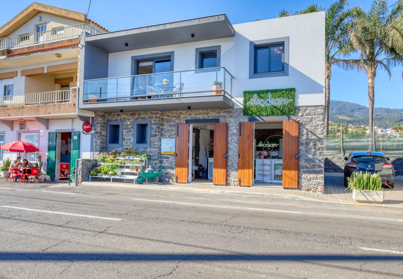 Apartment in Ponta do Sol - Casa do Serrado, a Home in Madeira