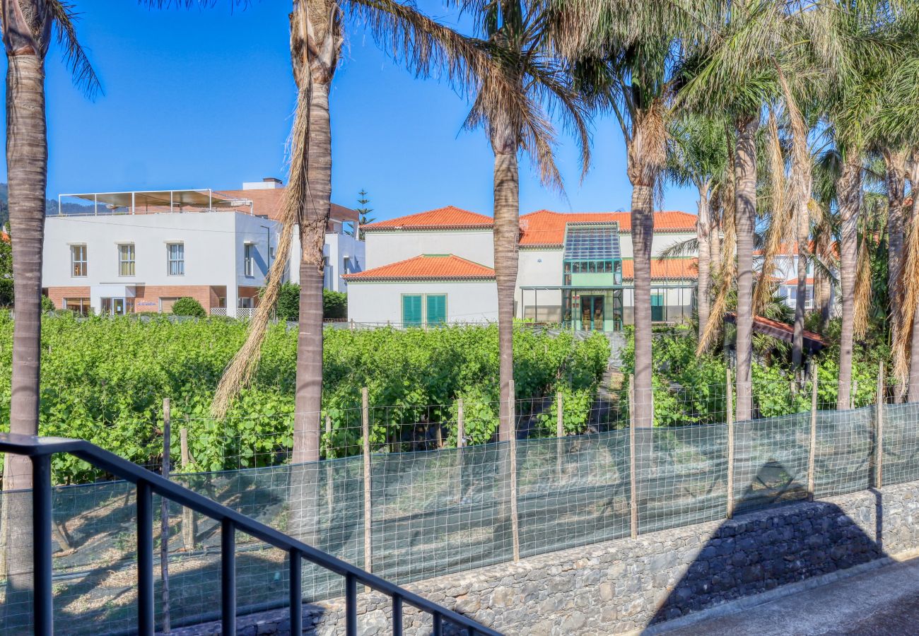 Apartment in Ponta do Sol - Casa do Serrado, a Home in Madeira