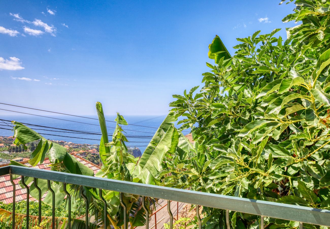 Apartment in Ponta do Sol - Sunrise House, a Home in Madeira